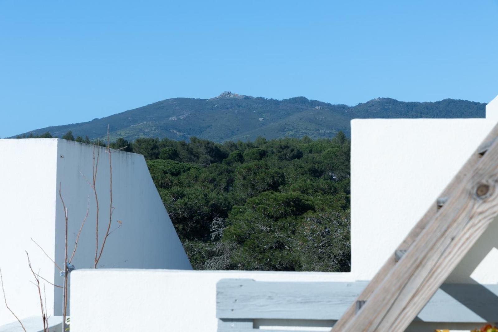 Roots House Villa Cascais Exterior photo